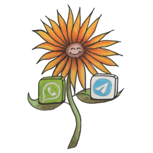 Sonnenblume, die sowohl das WhatsApp-, als auch das Telegram-Symbol hält.